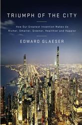 A view of Chicago from the air, only some of the buildings have been hyper-stretched so that they're very large indeed.